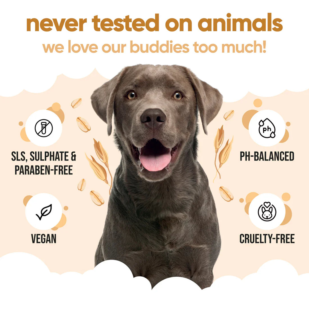 Buddycare Dog Shampoo Oatmeal