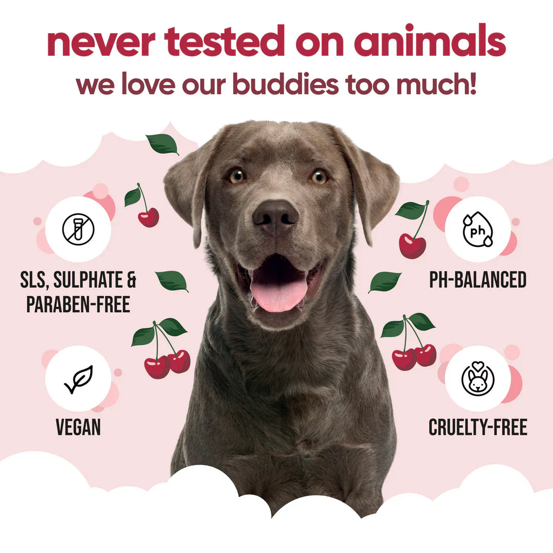 Buddycare Dog Shampoo Black Cherry
