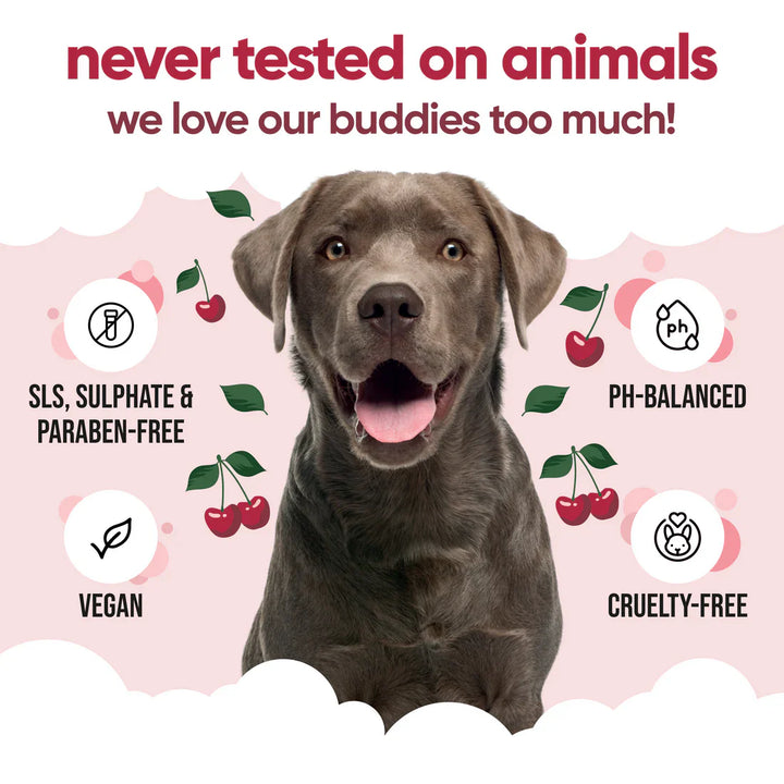 Buddycare Dog Shampoo Black Cherry
