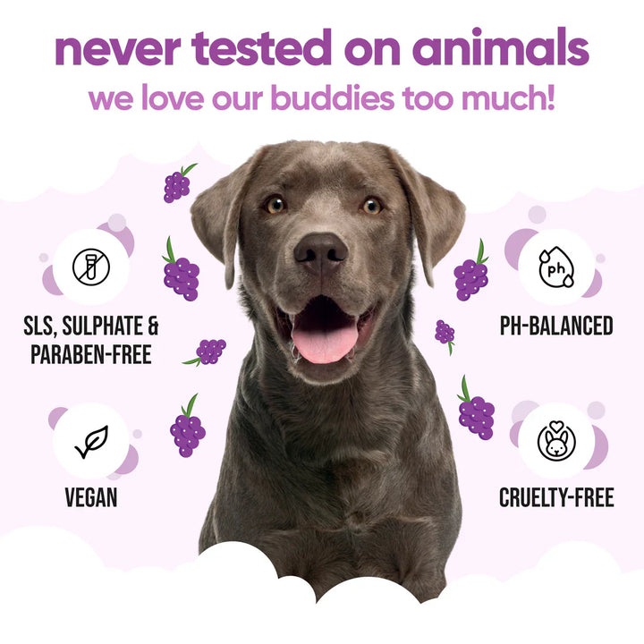 Buddycare Dog Grape Shampoo