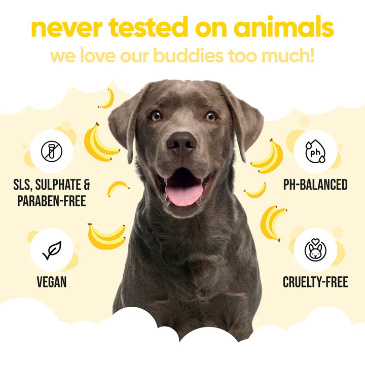 Buddycare Banana Dog Shampoo 500ml