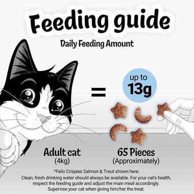 Felix Crispies Cat Treat Beef and Chicken 180G - Ormskirk Pets