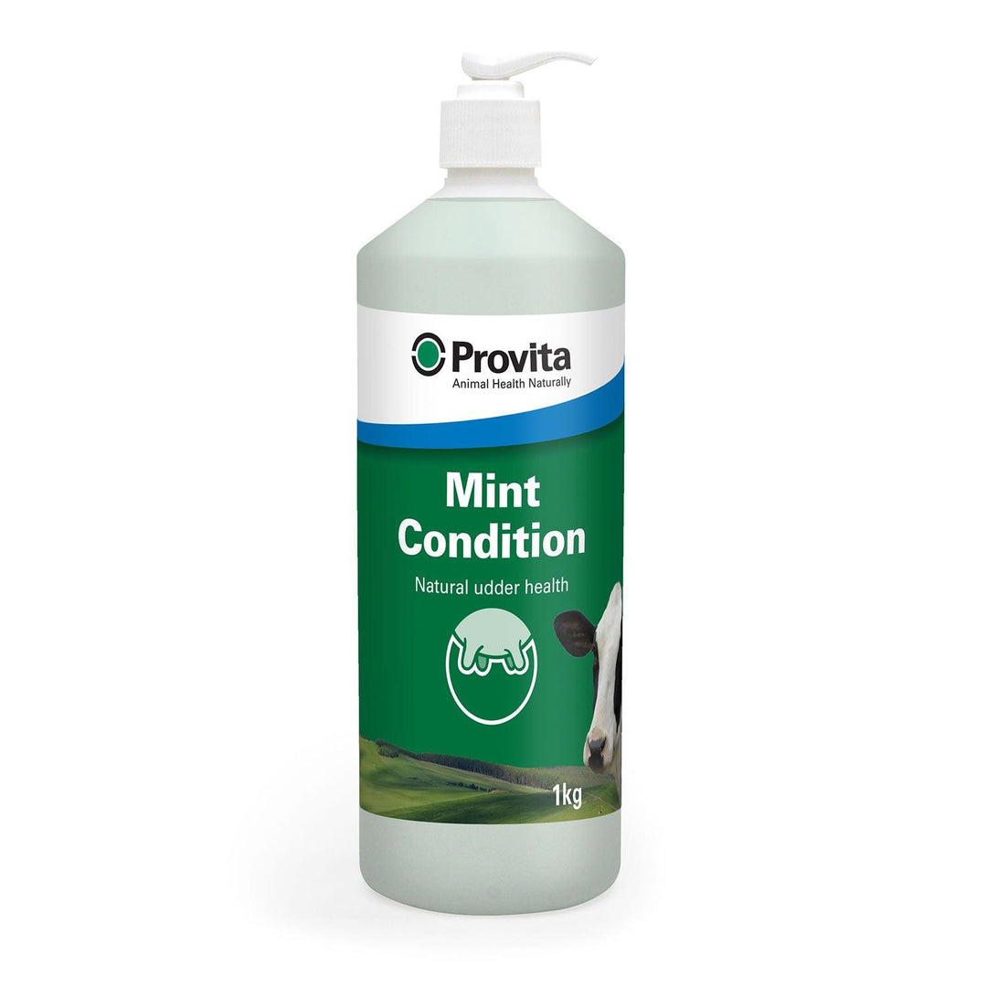 Provita Mint Condition 1kg