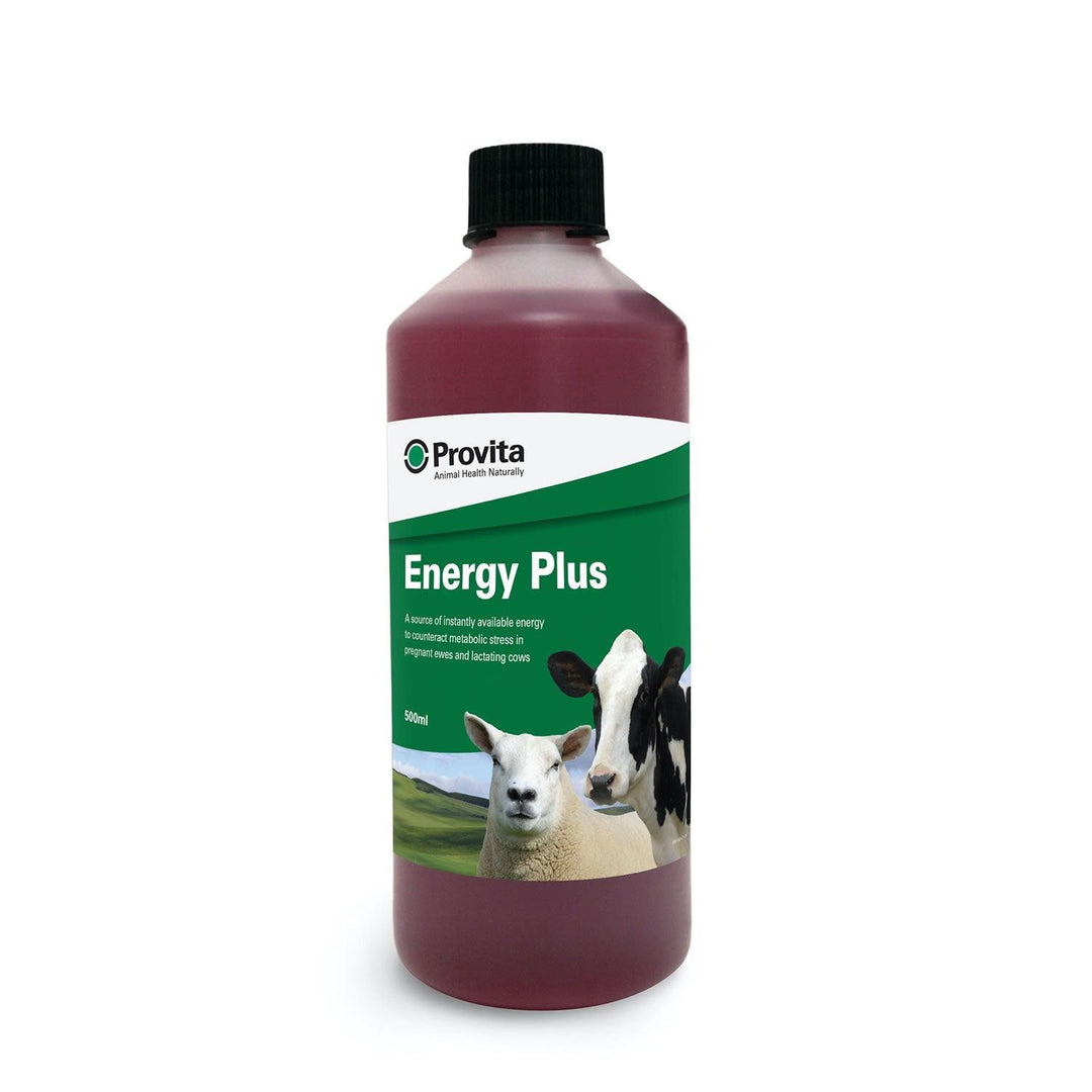 Provita Energy Plus 500ml