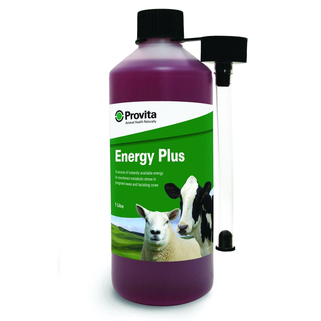 Provita Energy Plus 1ltr