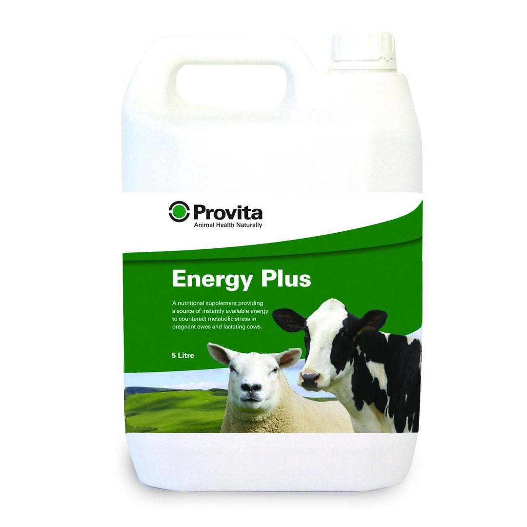 Provita Energy Plus 5ltr