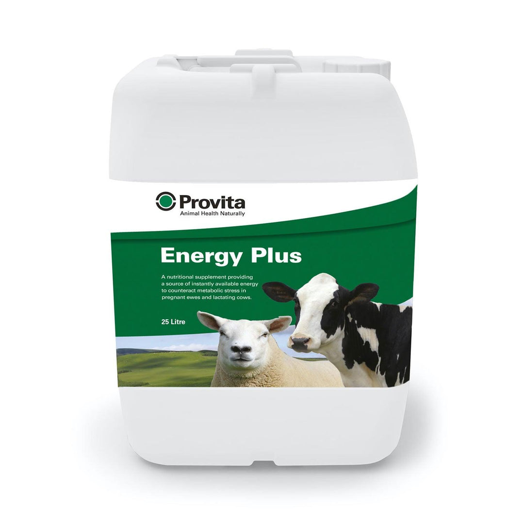 PROVITA ENERGY PLUS