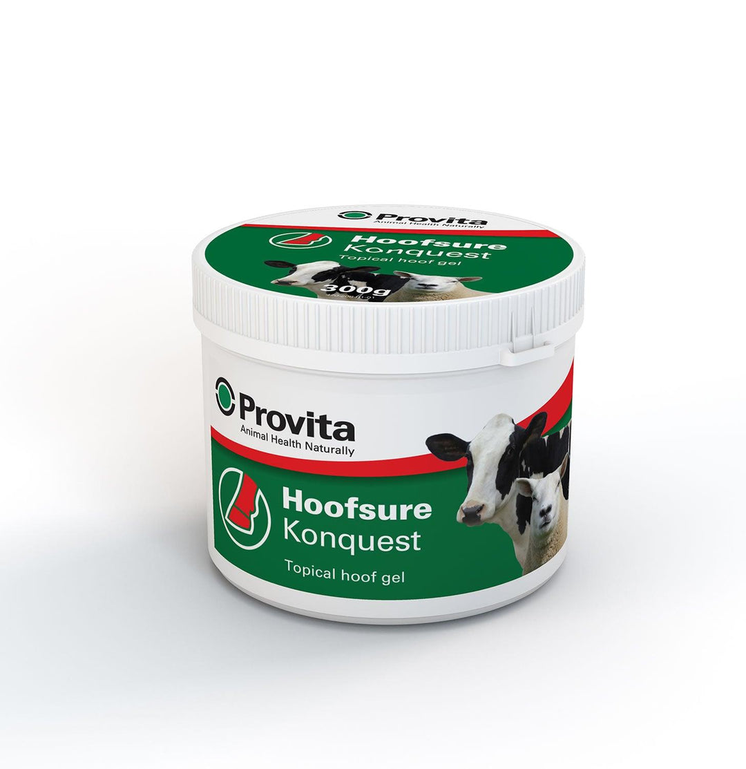 Provita Hoofsure Konquest 300g Tub