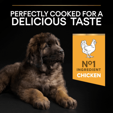 Pro Plan Dog Large Puppy Robust With Optistart Chicken Dry Food 3Kg - Ormskirk Pets