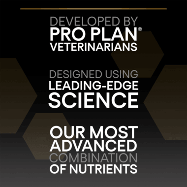 Pro Plan Dog Medium & Large Adult 7+ With Optiage Chicken Dry Food 14Kg