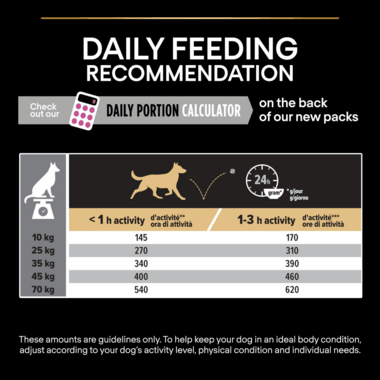 Pro Plan Dog Medium & Large Adult 7+ With Optiage Chicken Dry Food 14Kg