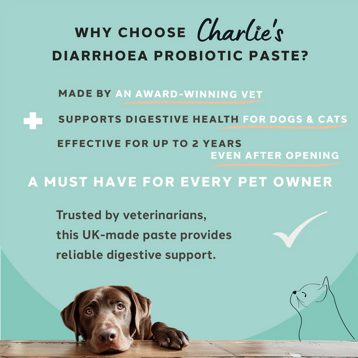 Charlie The Vet Diarrhoea Care Probiotic Paste For Dogs & Cats 15ml