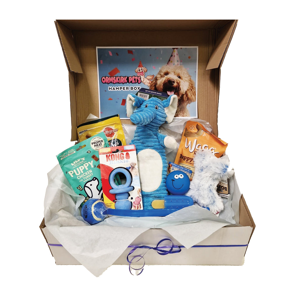 New Puppy Hamper Box for Boy