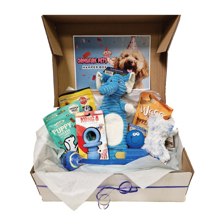 New Puppy Hamper Box for Boy