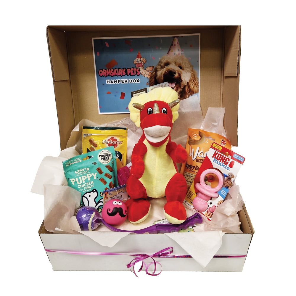 New Puppy Hamper Box for Girl