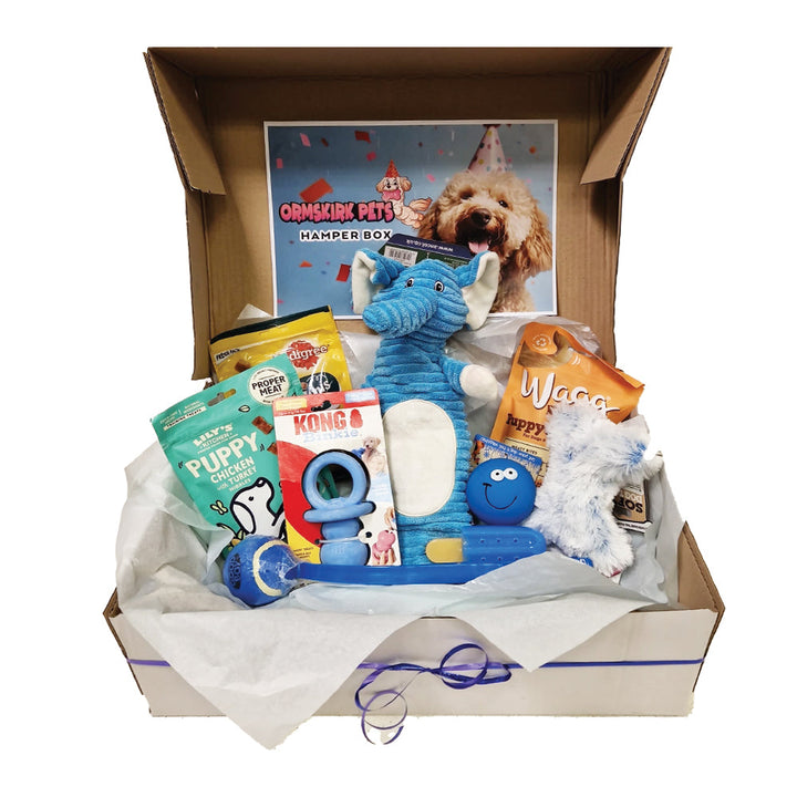 New Puppy Hamper Box for Boy