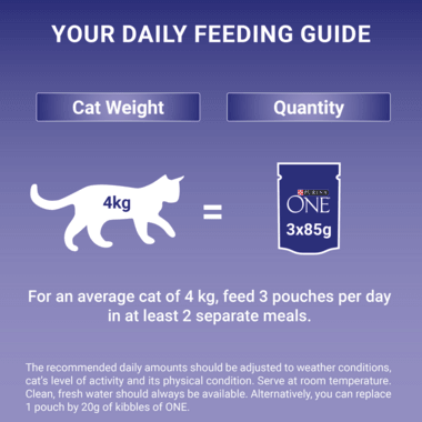 Purina One Adult Cat Food Fish And Lamb 8X85G - Ormskirk Pets