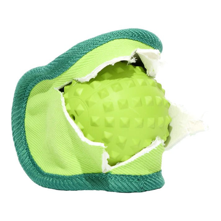 Bark Crufts Flyball Fetcher