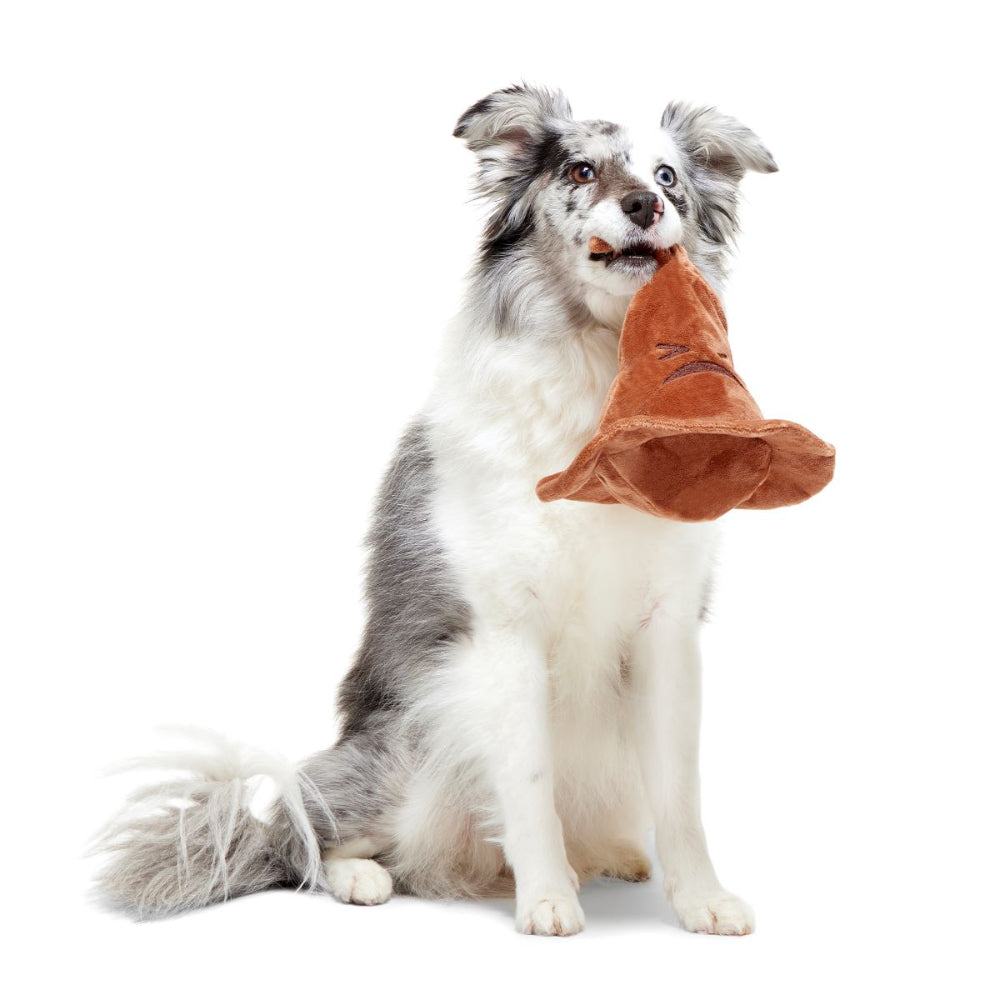 Bark Harry Potter Sorting Hat