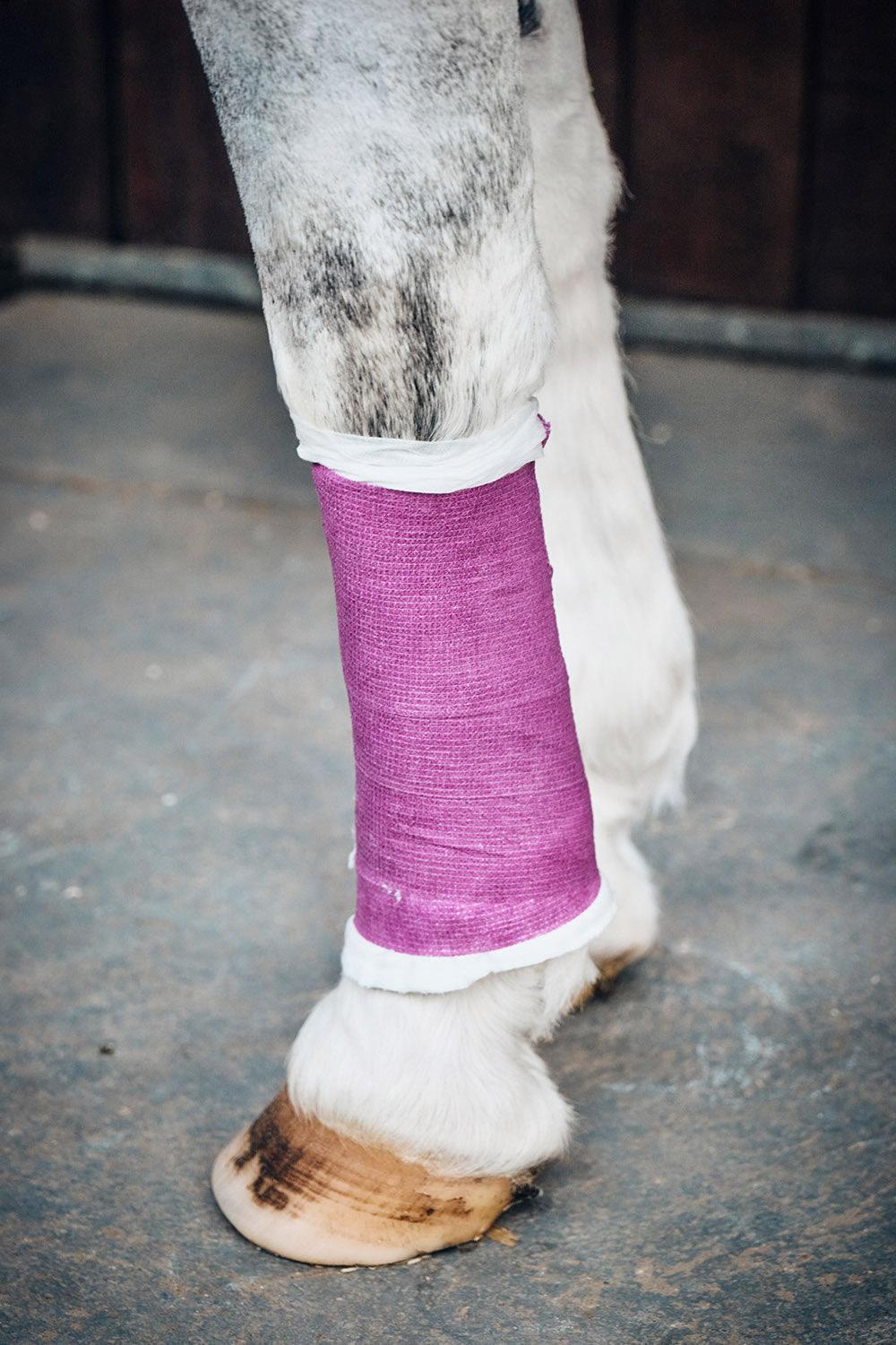 Robinsons Healthcare Equiwrap Bandage 10 Cm X 4.5 M Purple
