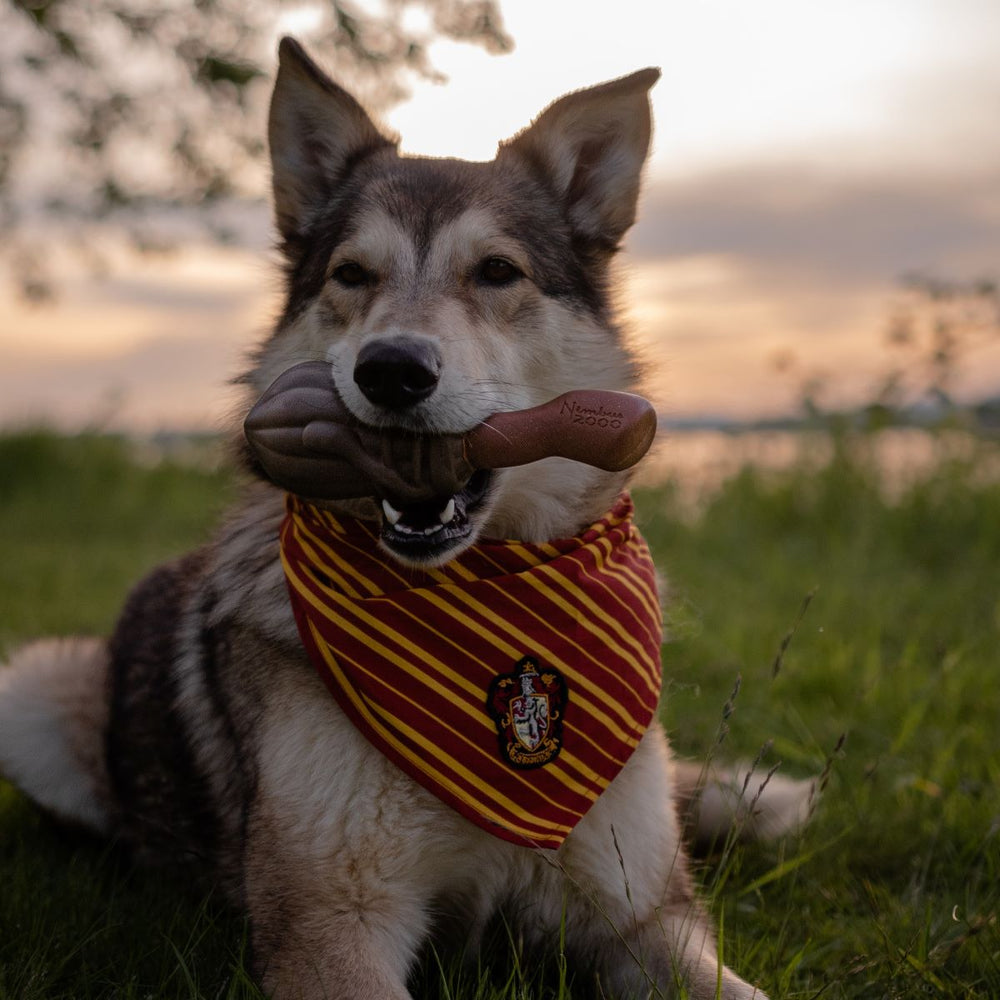 Bark Harry Potter Nimbus 2000 - Rubber