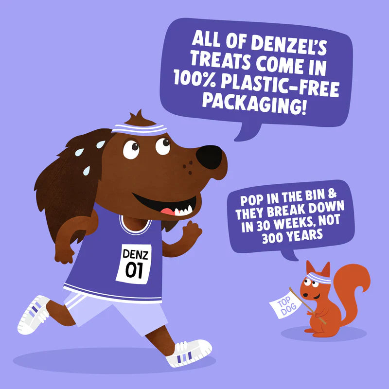 Denzels Training Bites Salmon & Berries 100G