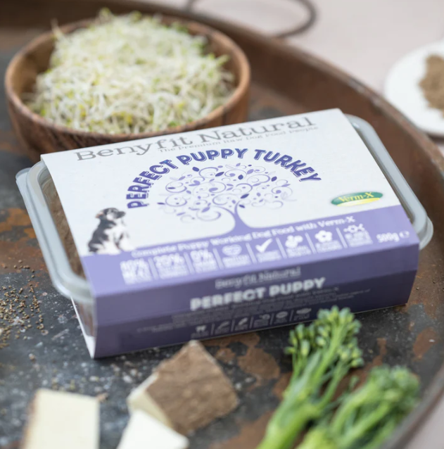 Benyfit Natural Perfect Puppy Turkey 1KG