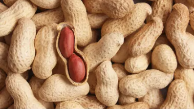 Vital Peanuts in Shells 10kg