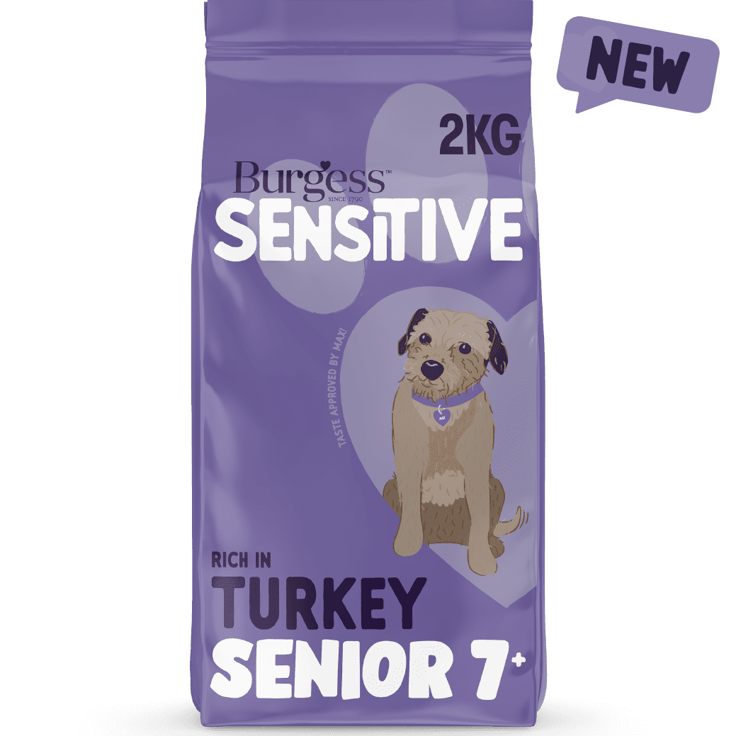 Burgess Sensitive Senior 2KG