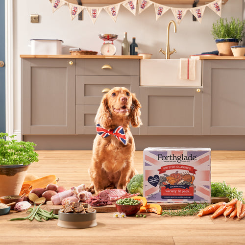 Forthglade Adult Dog British Classics Grain Free Variety 12 x 395g