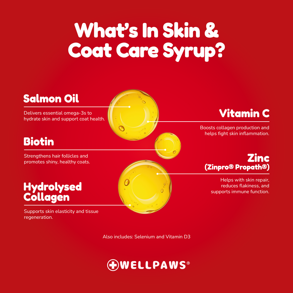 WellPaws Skin & Coat Care Syrup 300ml