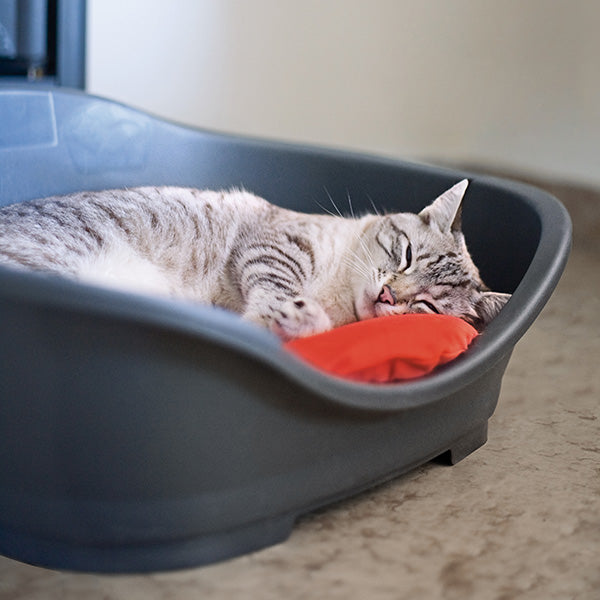 Stefanplast Sleeper Pet Bed Light Grey