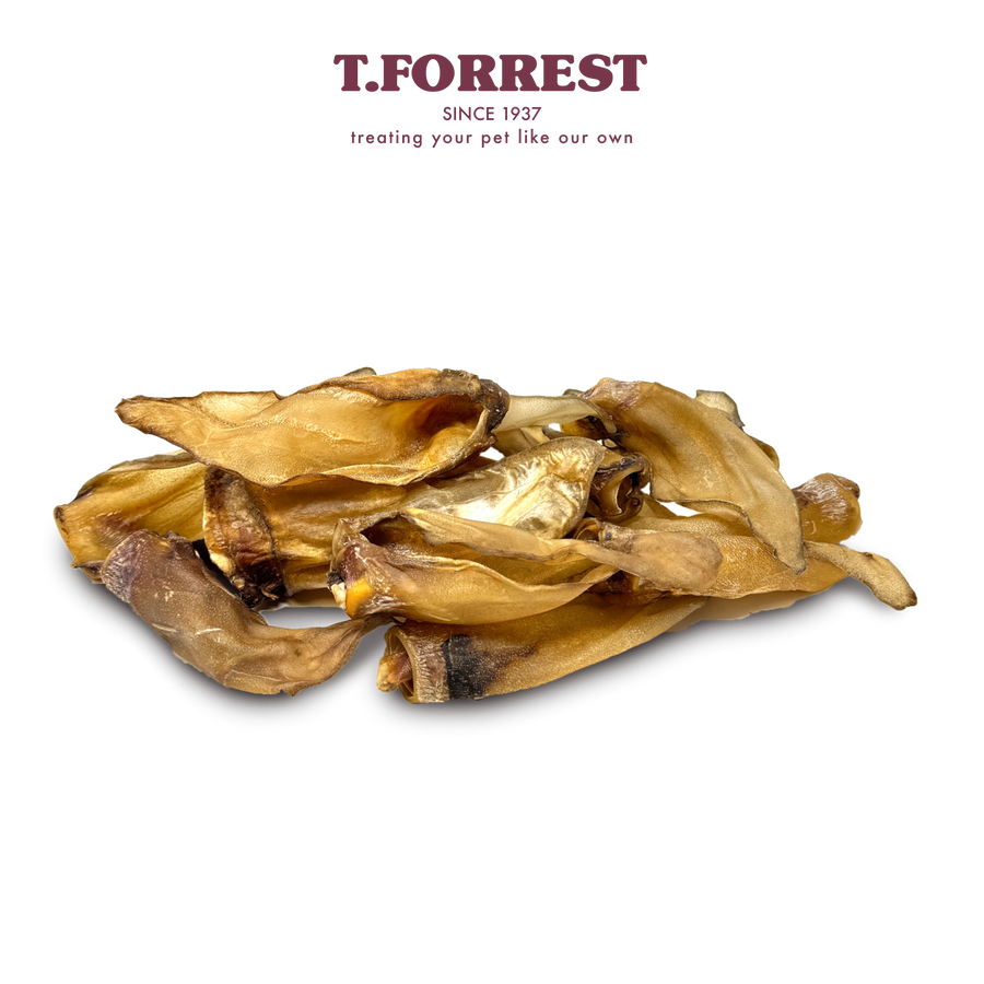 T Forrest Small Buffalo Ear x60