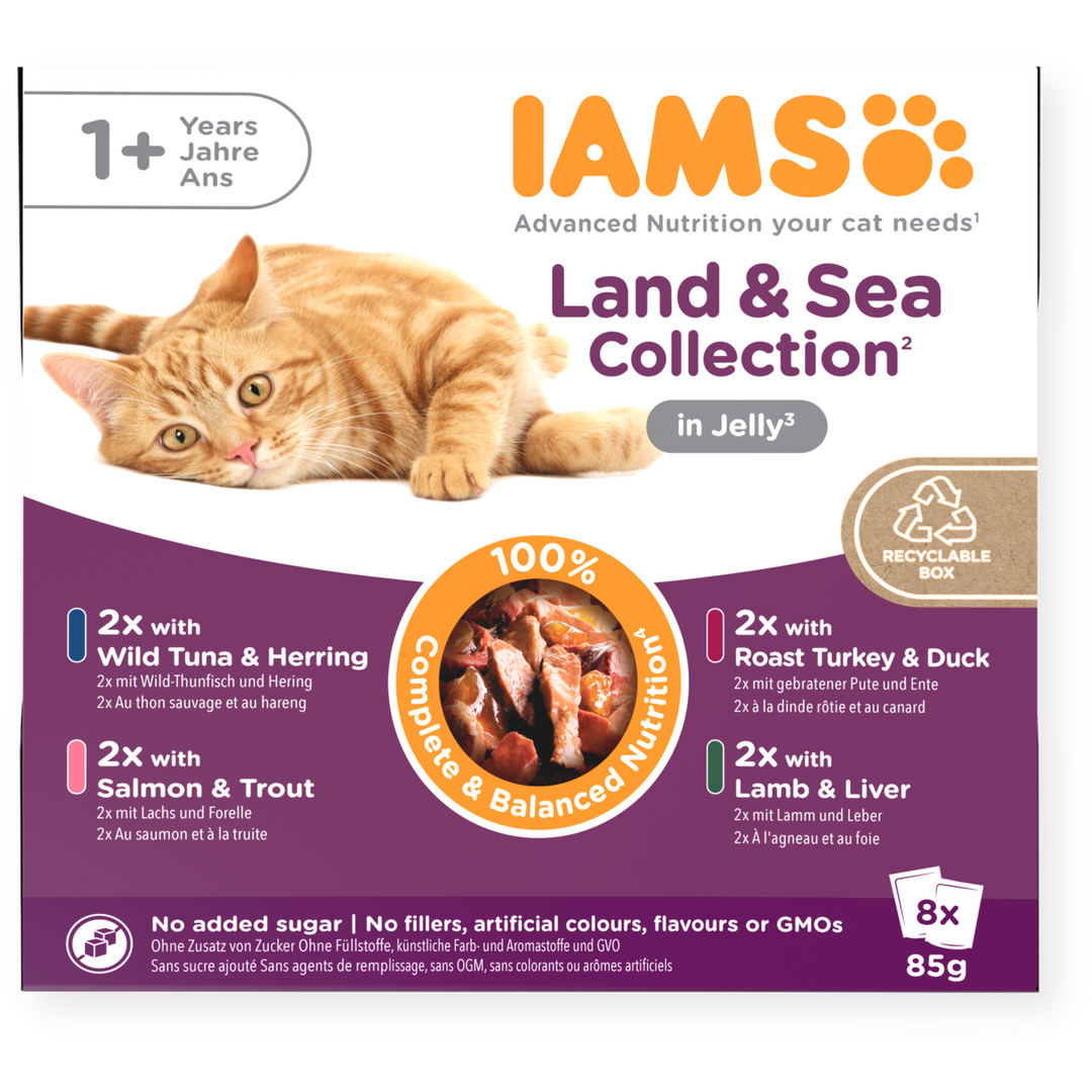 Iams 1+ Adult Cat Land & Sea Collection In Jelly 8 X 85G