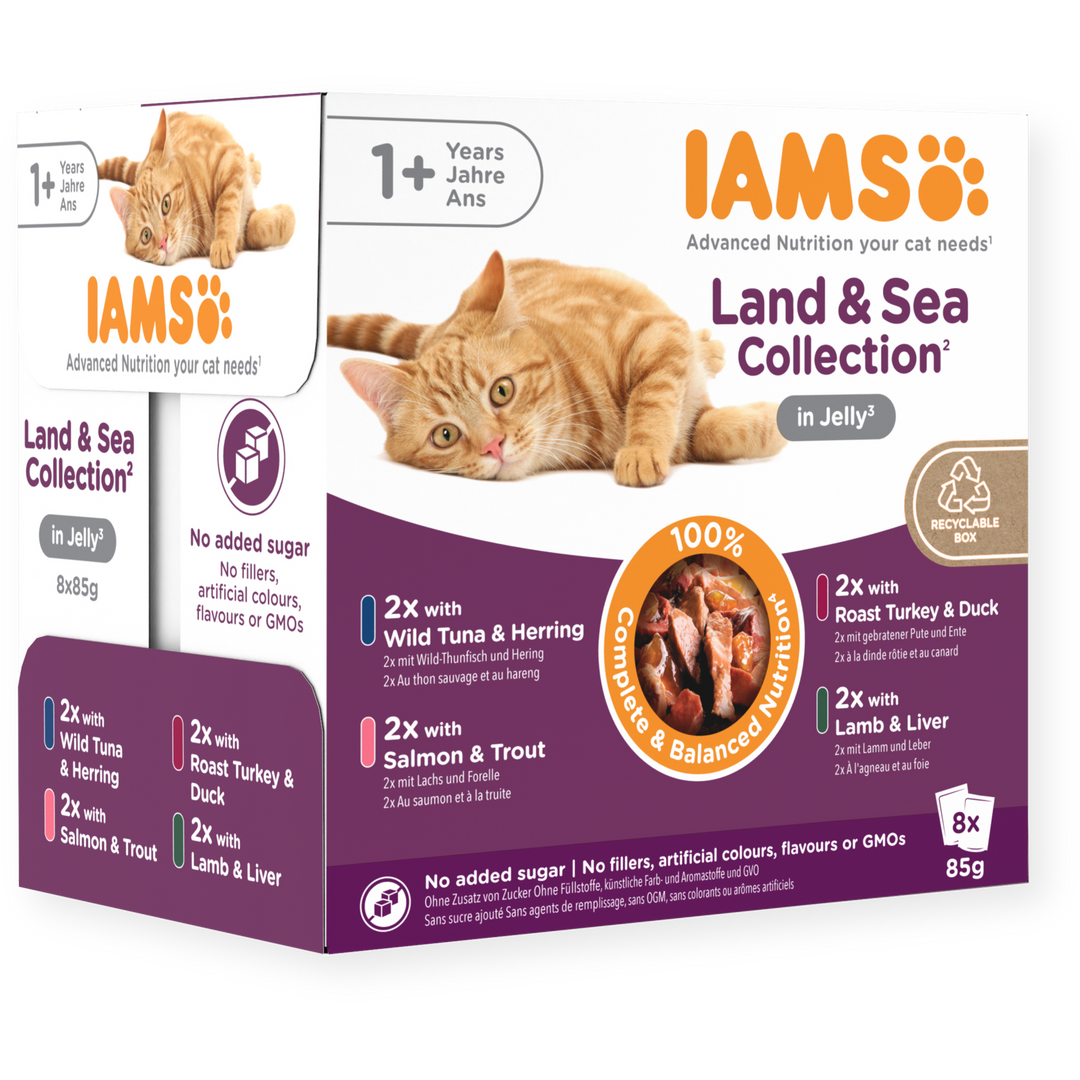 Iams 1+ Adult Cat Land & Sea Collection In Jelly 8 X 85G