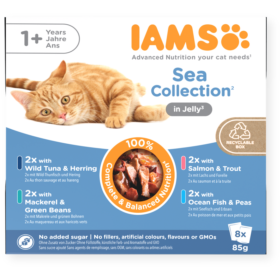 Iams 1+ Adult Cat Delights Sea Collection In Jelly 8 X 85G
