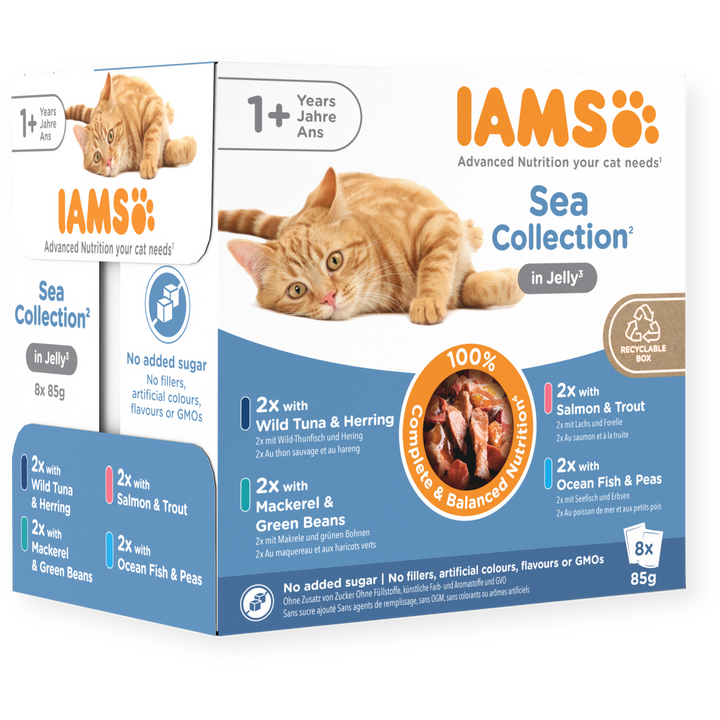 Iams 1+ Adult Cat Delights Sea Collection In Jelly 8 X 85G