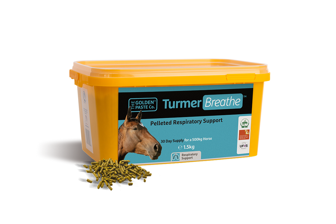 Golden Paste Company Turmerbreathe 1.5 Kg