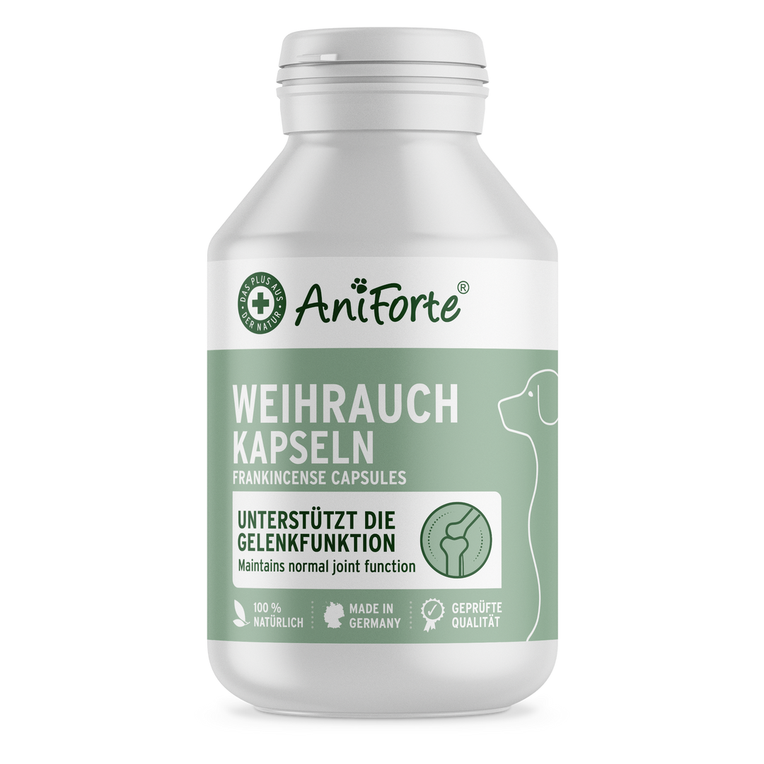 Aniforte Frankincense (Boswellia) Capsules 100pcs