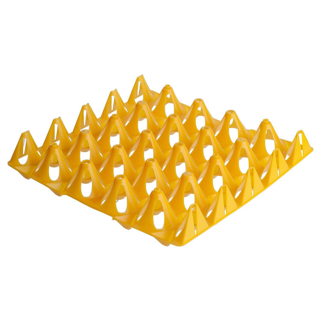 Eton Plastic Keyes Tray 20 Eggs Orange