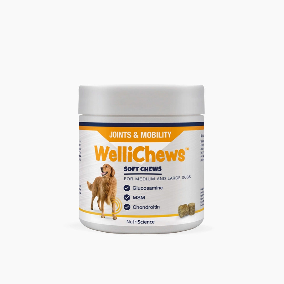 Wellichews Joints & Mobility Soft Chews