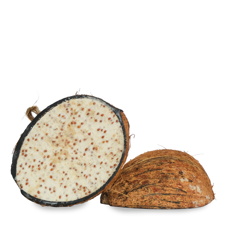 Suet To Go Half Coconut Feeder Mealworm - Pack of 10