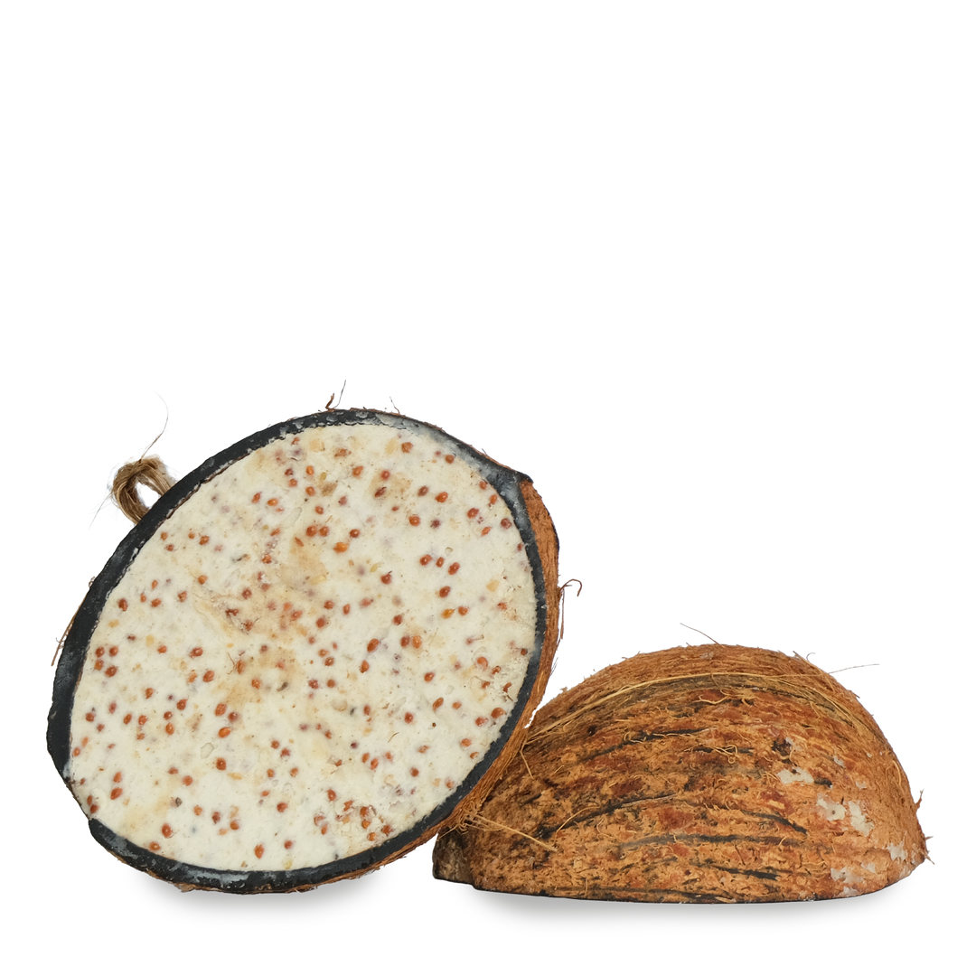 Suet To Go Half Coco Feeder Mealworm