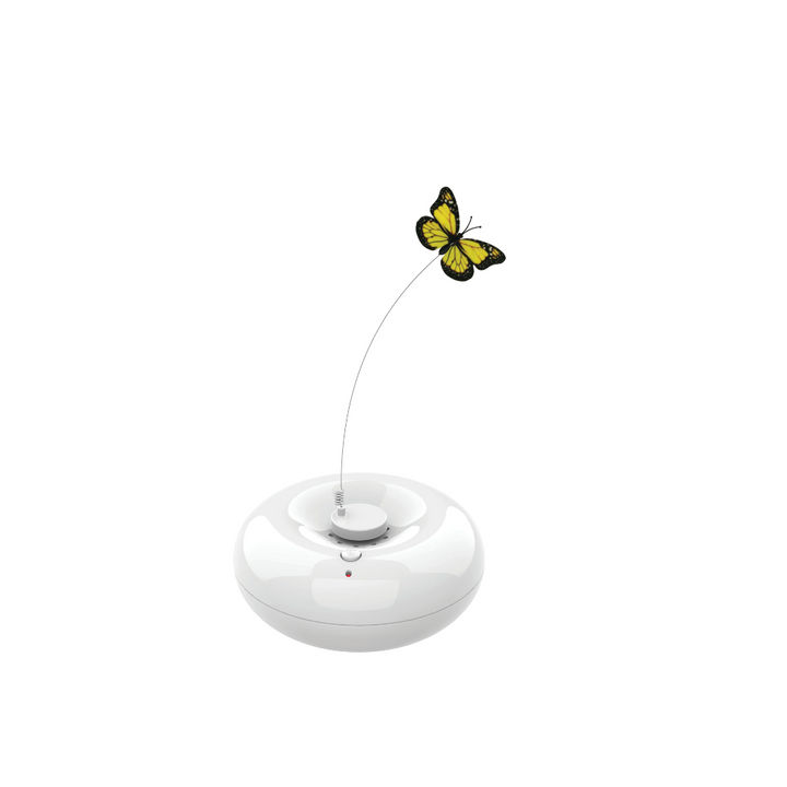 M-PETS Crazy Butterfly White