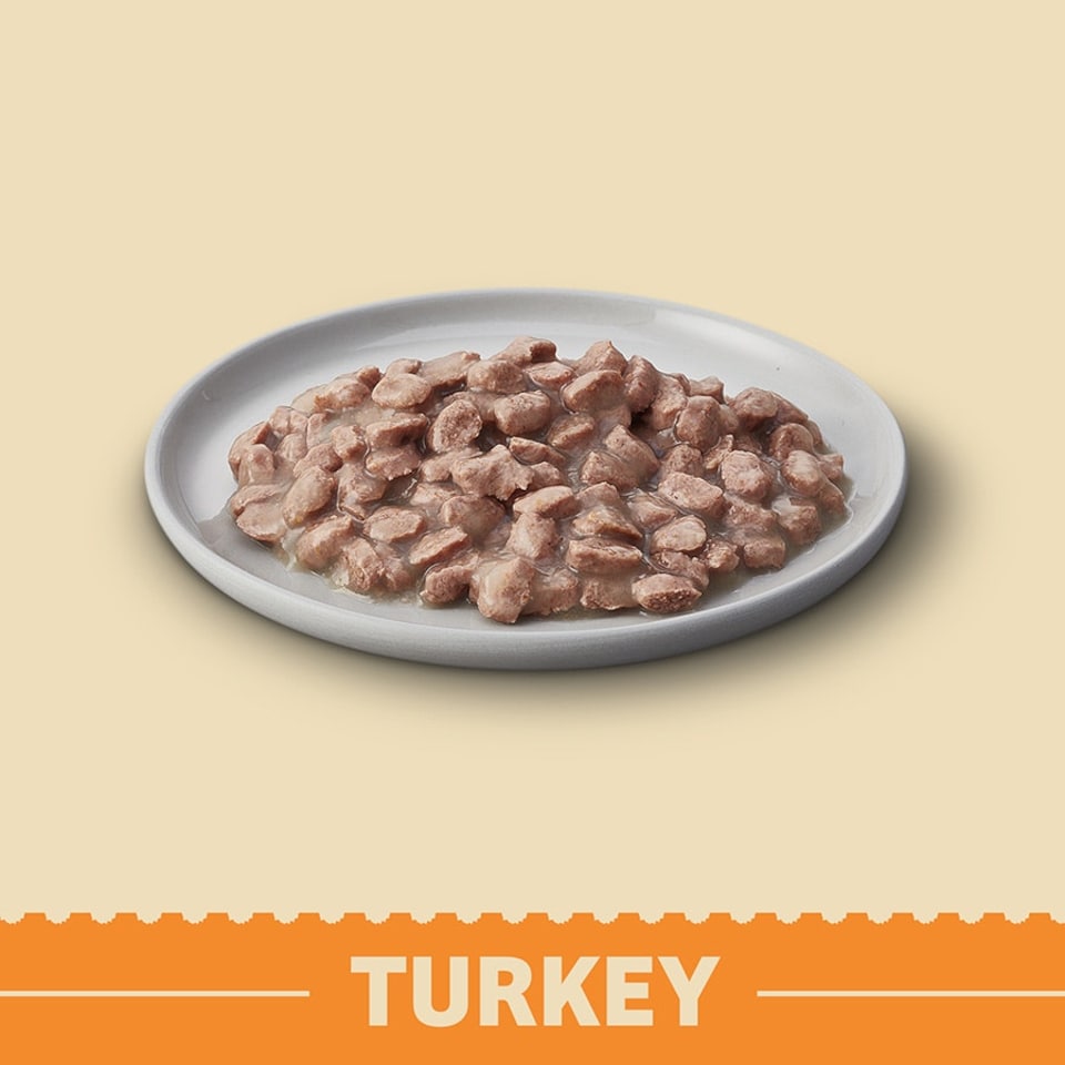 James Wellbeloved Senior Cat Grain Free Turkey In Gravy 12 X 85G