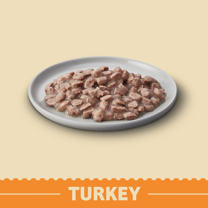 James Wellbeloved Senior Cat Grain Free Turkey In Gravy 12 X 85G