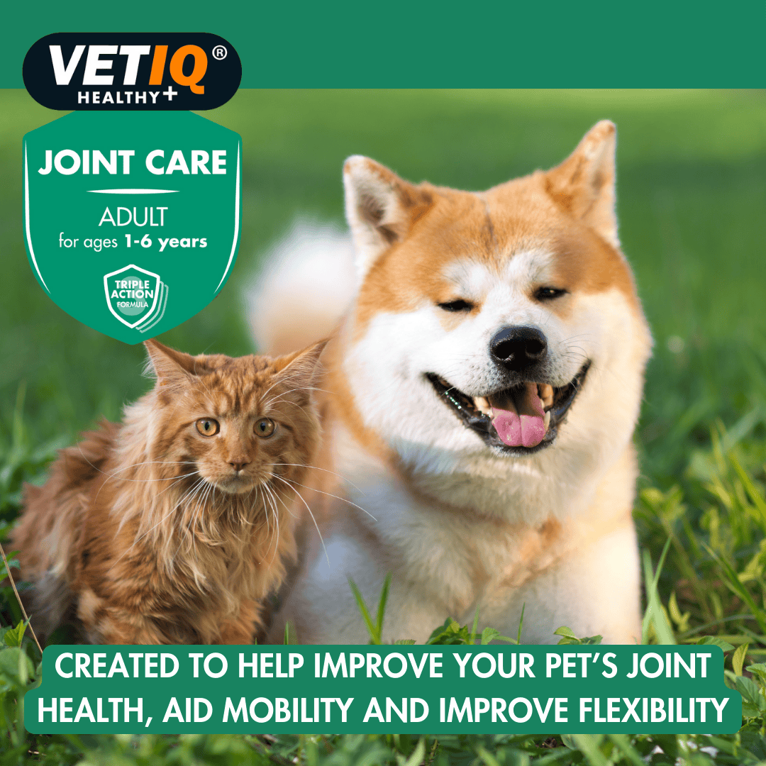 Vetiq Healthy + Joint Care Adult Cats & Dogs 45 Tablets