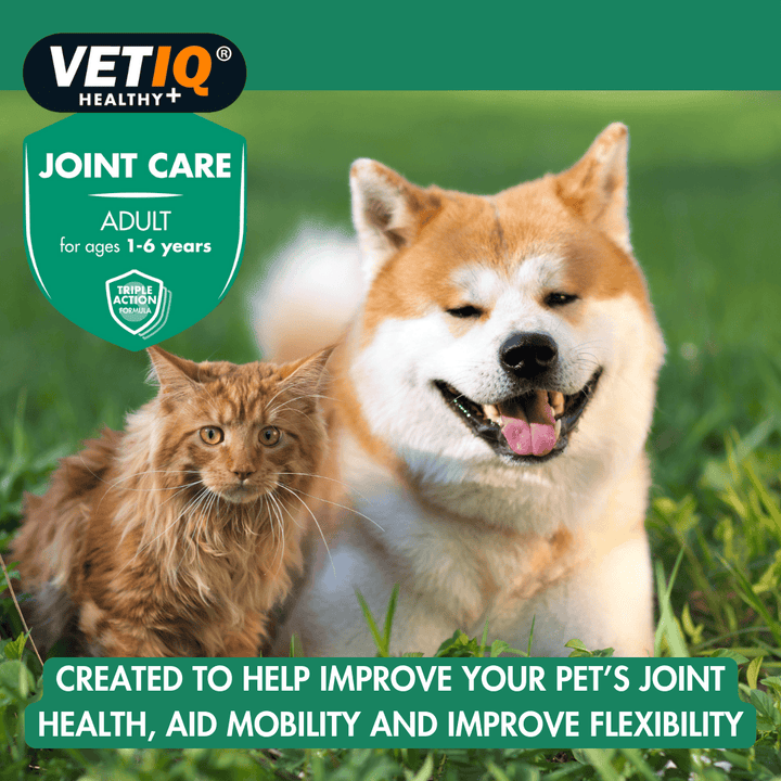 Vetiq Healthy + Joint Care Adult Cats & Dogs 45 Tablets