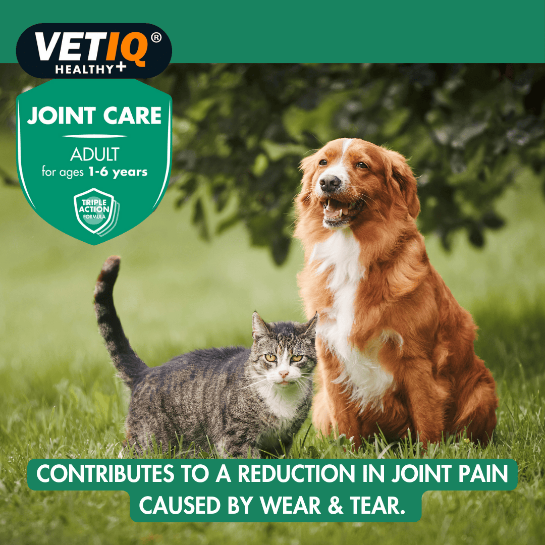Vetiq Healthy + Joint Care Adult Cats & Dogs 45 Tablets