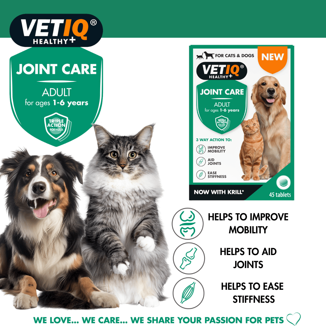 Vetiq Healthy + Joint Care Adult Cats & Dogs 45 Tablets
